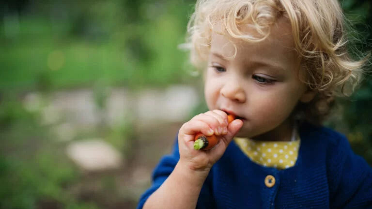 Cibo arancione : Perché fa bene?